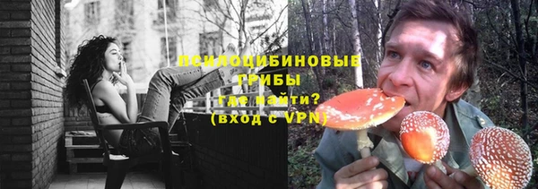 PSILOCYBIN Верхнеуральск